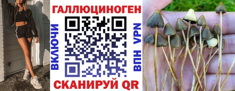 Псилоцибиновые грибы Cubensis  даркнет клад  Бирск 